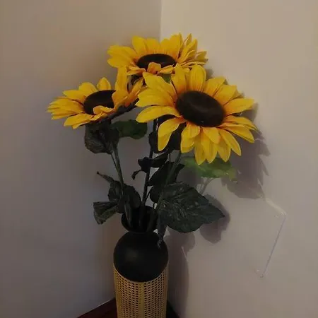 Nyaraló Atraktivna Kuca Sa Saunom I Grijanim Jacuzzijem Cres